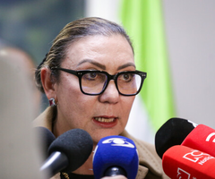 Carolina Restrepo, directora de Icbf Carolina Restrepo, directora de Icbf