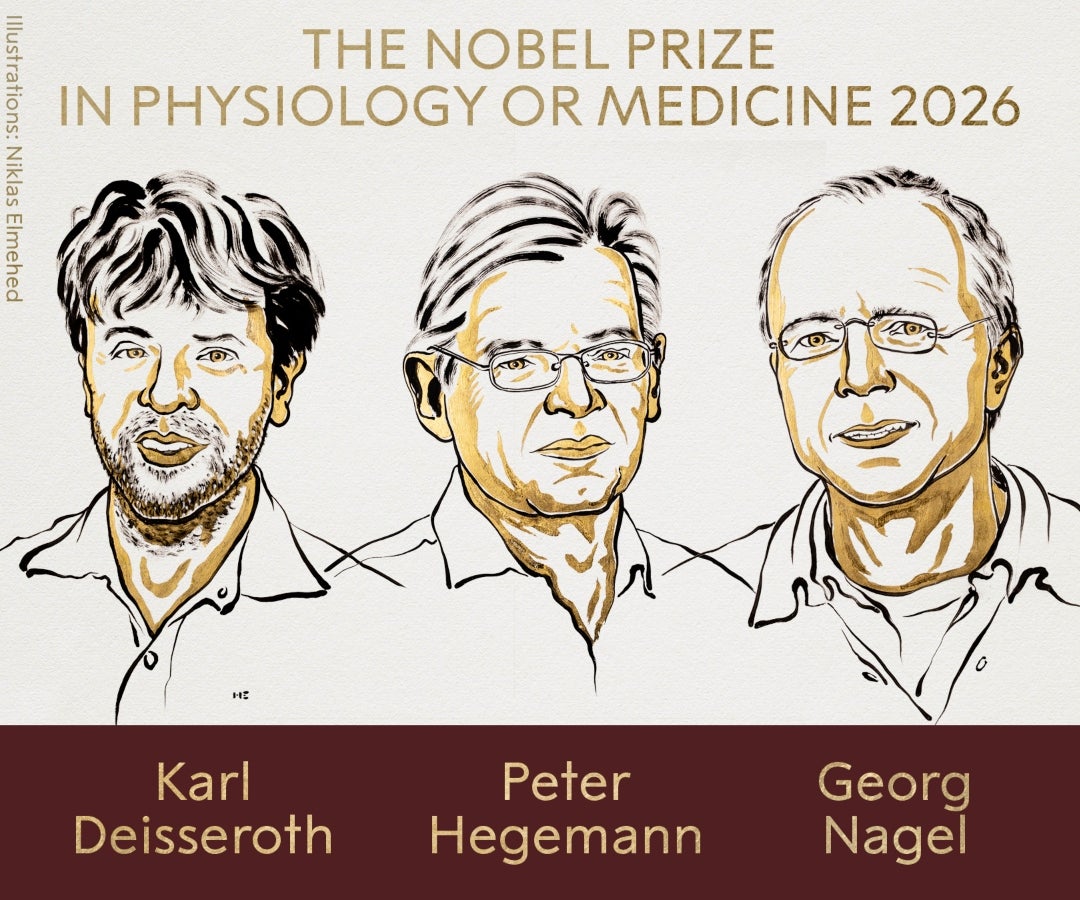 Nobel de Medicina 2026 premió una técnica para estudiar la actividad neuronal con luz