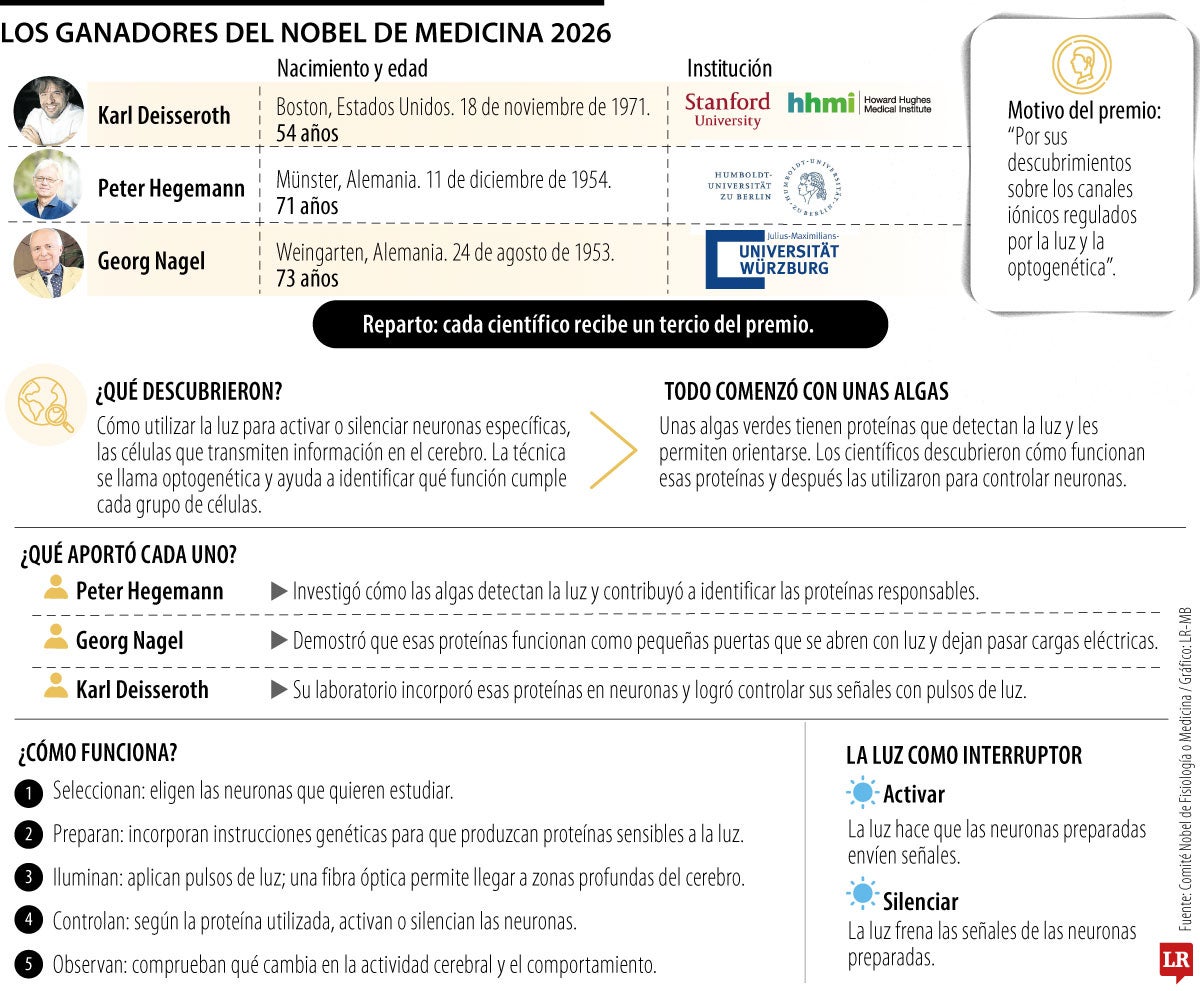 El hallazgo científico que llevó a sus investigadores a ganar el Nobel de Medicina de 2026