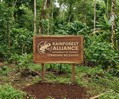Rainforest Alliance Rainforest Alliance