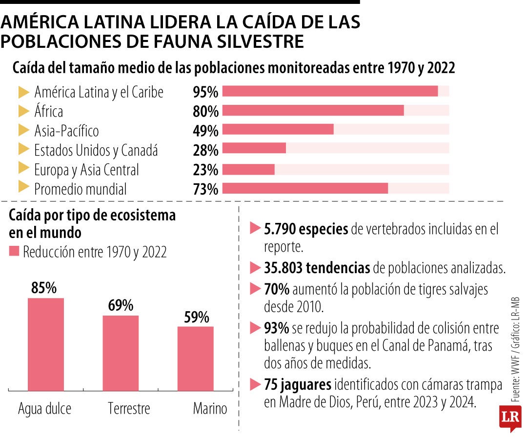 Por cada US$1 para proteger la naturaleza, US$33 financian actividades que la perjudican