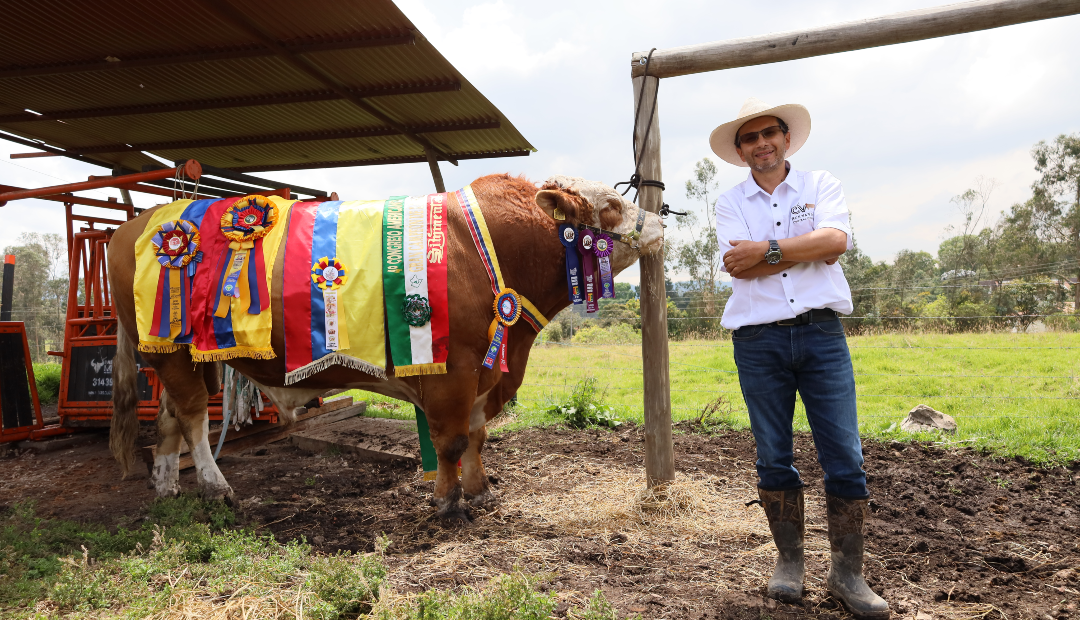 La genética de élite que transforma el doble propósito y abre mercados en Colombia