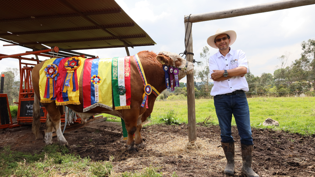 La genética de élite que transforma el doble propósito y abre mercados en Colombia