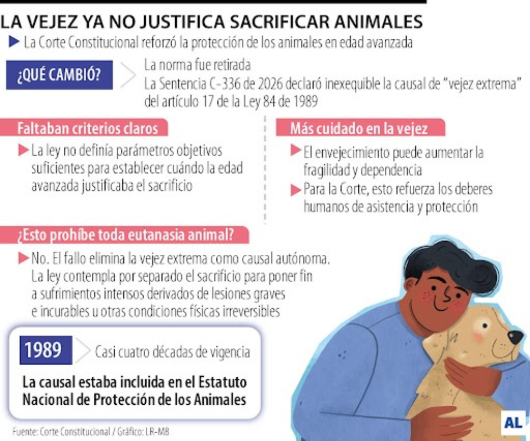 Gráfico LR