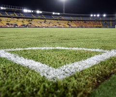 Grama del estadio El Campín