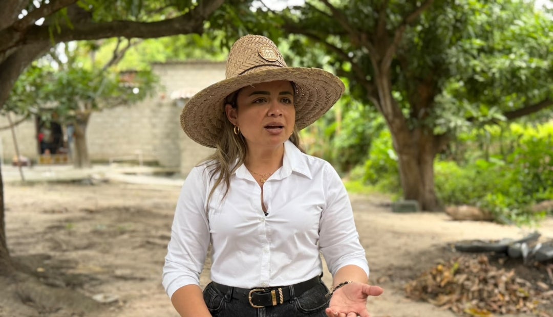 Lina María Garrido, directora de la ANT