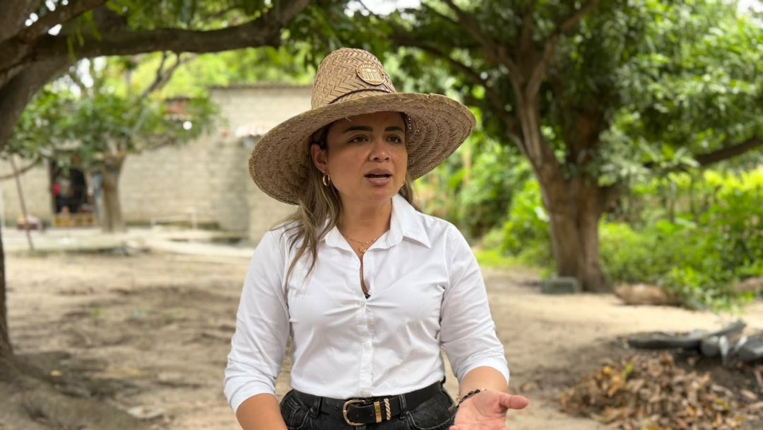 Lina María Garrido, directora de la ANT